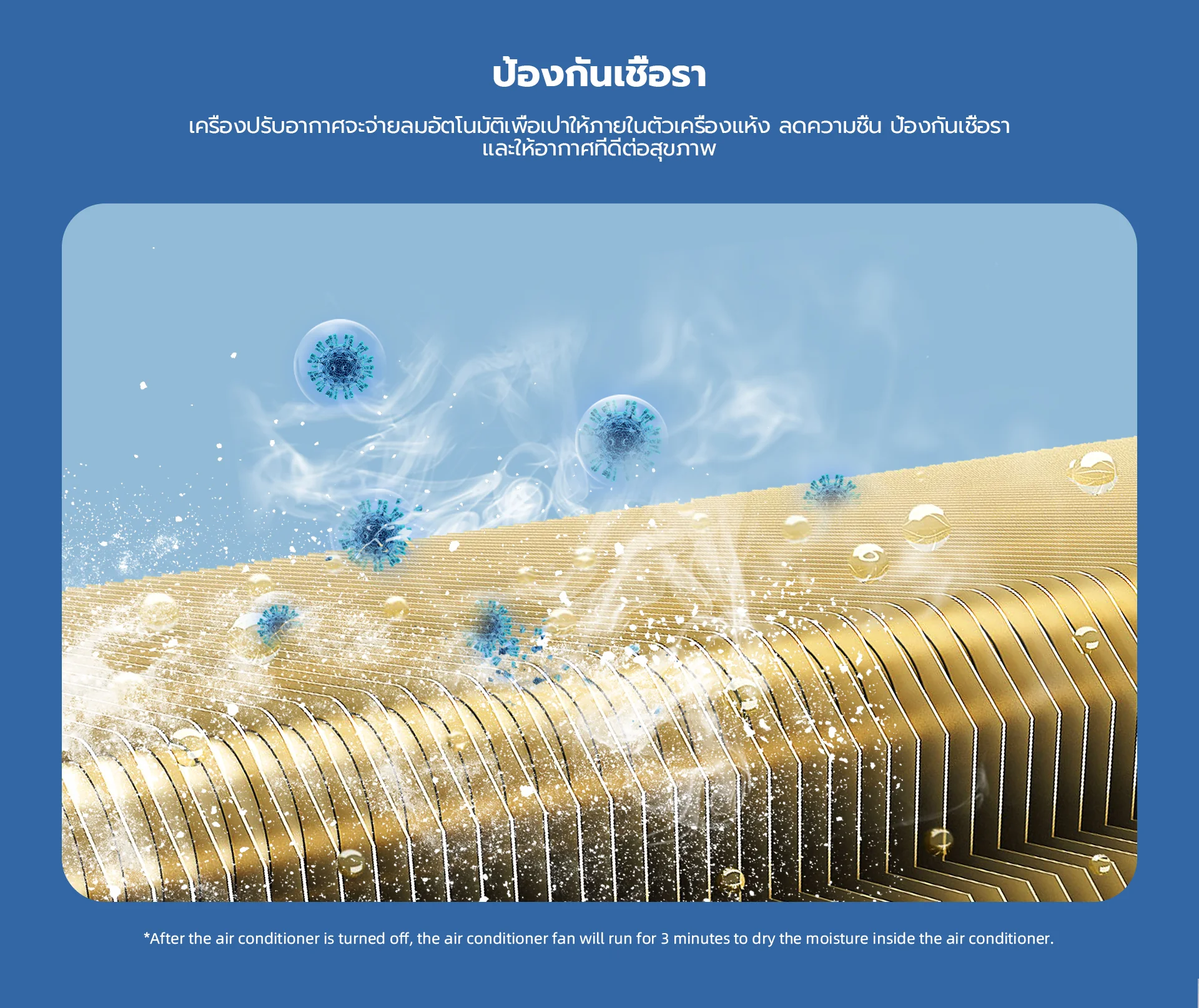 รูปภาพประกอบ